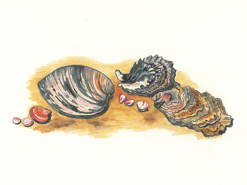 #Lenz100. Ausstellung »Kleines Strandgut« 