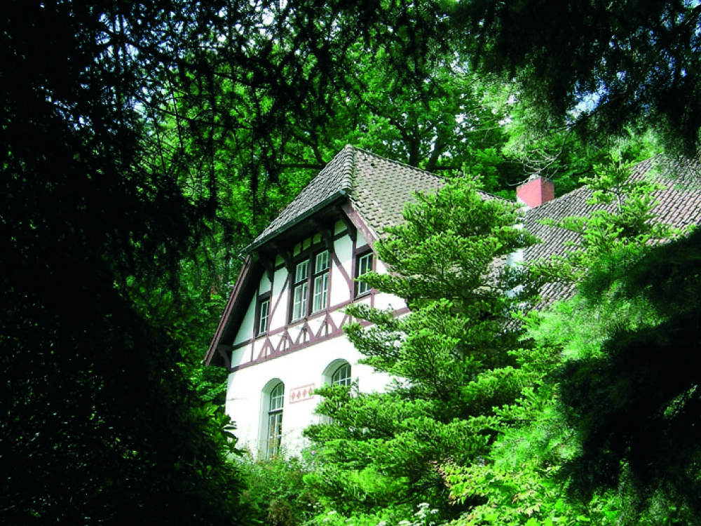 Ausverkauft: Bücherabend des Freundeskreises